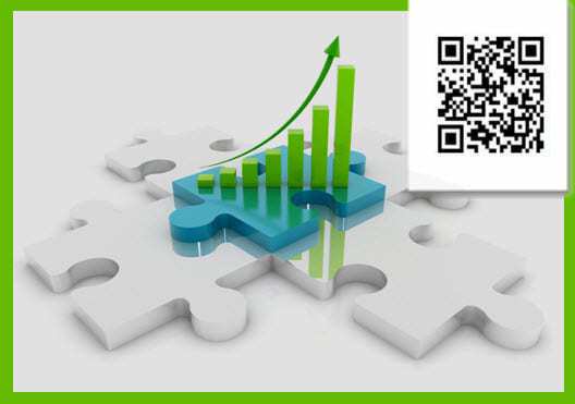 QR Code Statistics