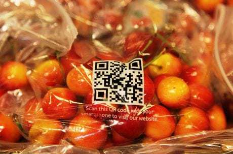 QR code tracing fruit