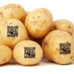 QR codes potatoes vegetables