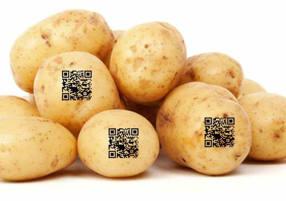 QR codes potatoes vegetables