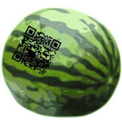 qr codes watermelon fruit