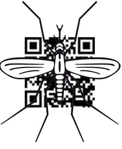 dengue qr codes mosquito