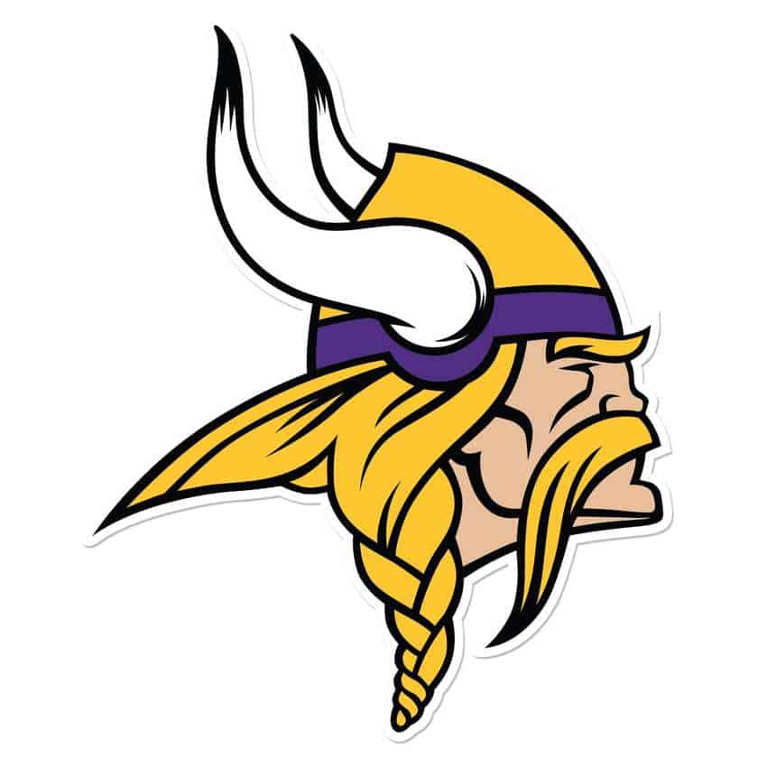 minnesota vikings google glass