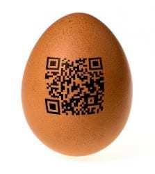 unique qr codes food