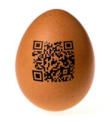 qr code problems eggs food nutrition