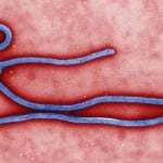 Ebola virus mhealth