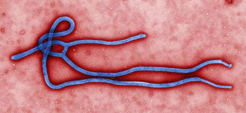 Ebola virus mhealth