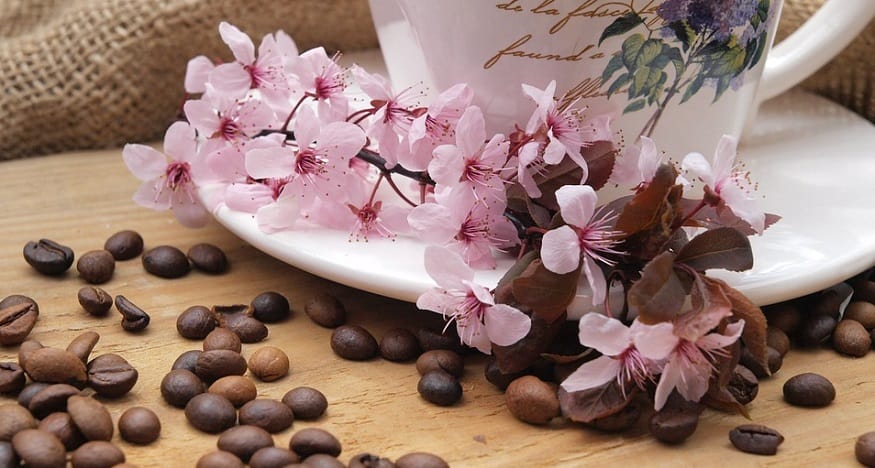 Kona Coffee QR Code - Coffee Beans, Mug and Flowers
