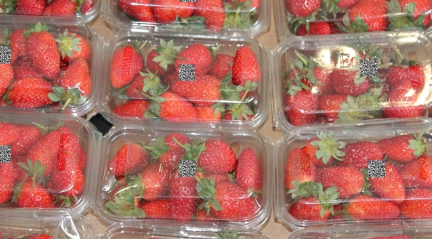 HarvestMark QR code - Packaged strawberries