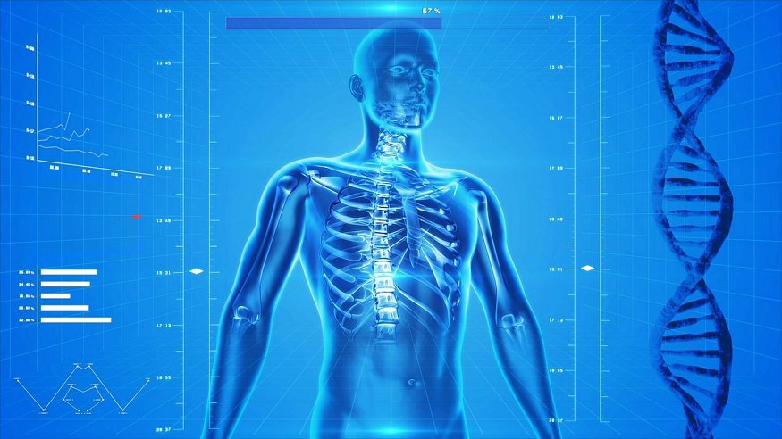 Medical AI - X-Ray - Human Body