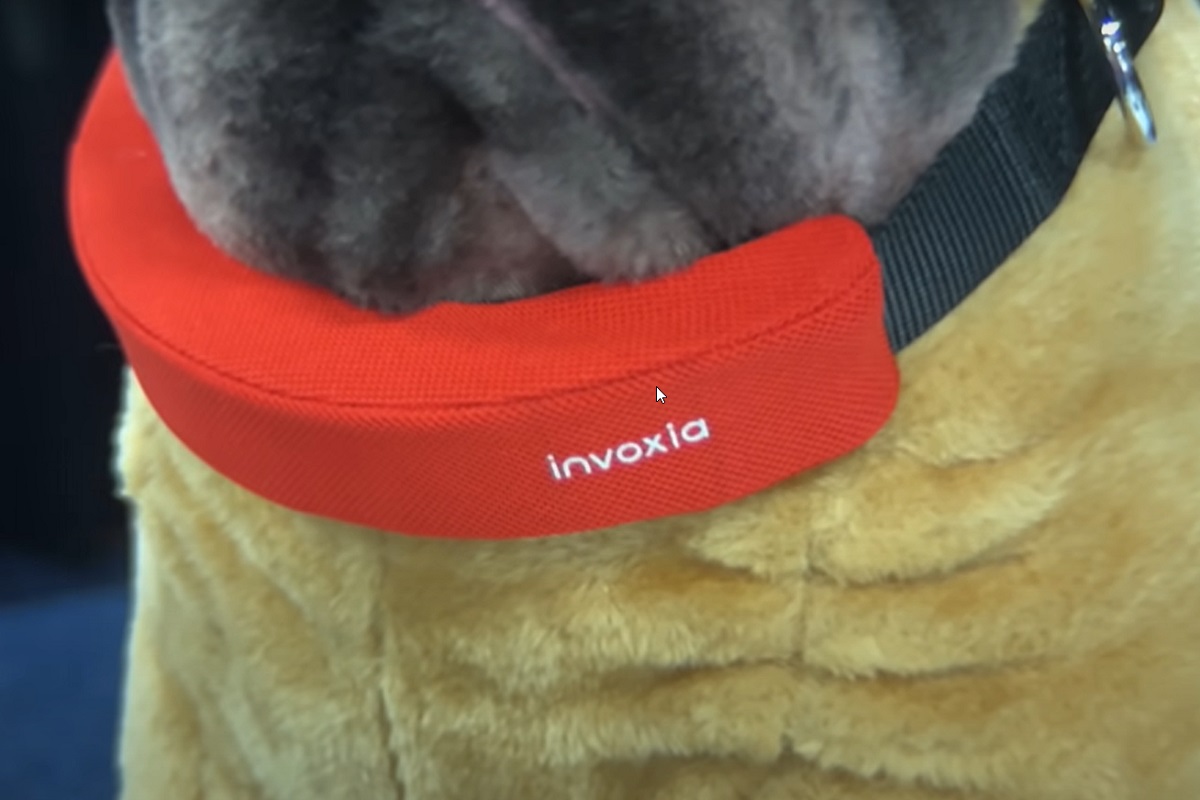 Smart dog collar Invoxia - The Best Gear & Gadgets From CES Unveiled 2022 - AppleInsider YouTube