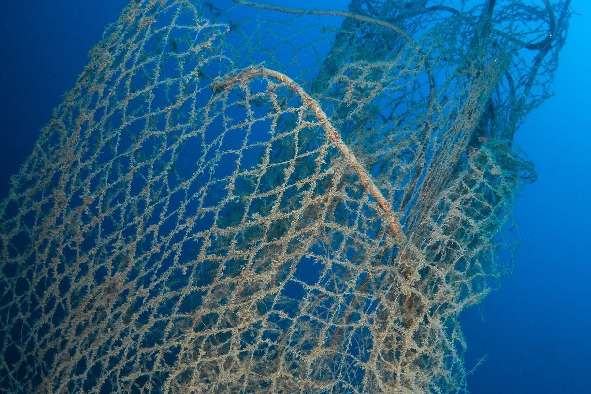 Galaxy Devices - Fishing Net in Ocean