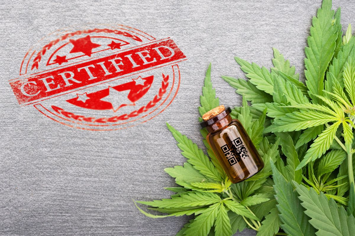 QR Codes - Certified Authentic - CBD Products
