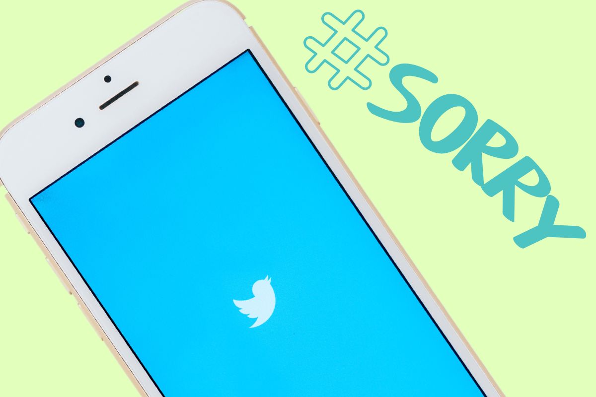 Social media platform - Twitter logo on phone - sorry