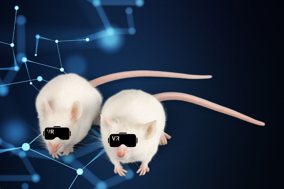 Virtual reality - concept image of lab mice wearing VR headsets