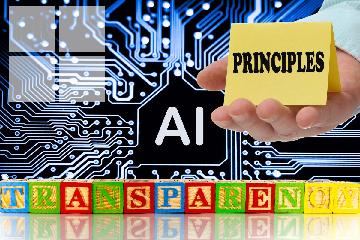 Artificial intelligence - Principles and Transparency