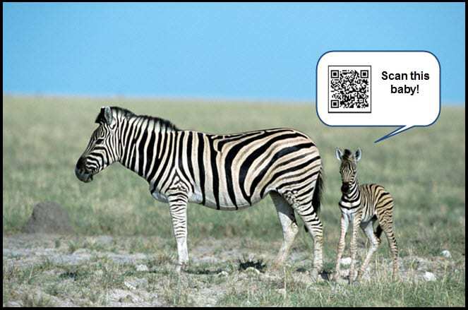 QR Codes at the Zoo!