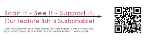 Fish Sustainability Tracking with QR Codes