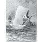 Augmented Reality Books - A page from the classic Moby Dick