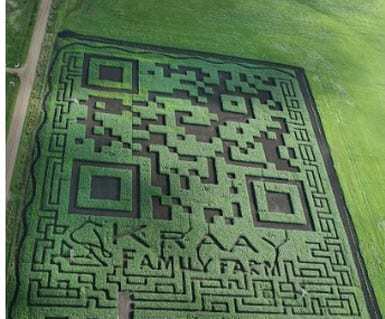 QR code cornfield