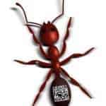 QR codes on ants