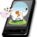 Cow wearable technology
