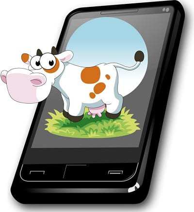 Cow wearable technology