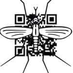 dengue qr codes mosquito