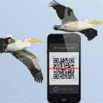 pelican island QR codes