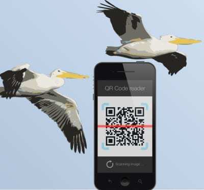 pelican island QR codes