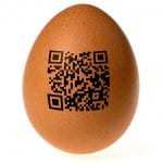 qr code problems eggs food nutrition