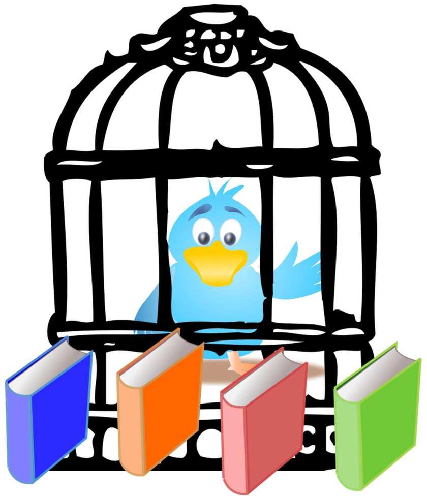 book author social media marketing strategies