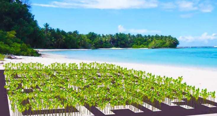 tuvalu mangrove giant qr code