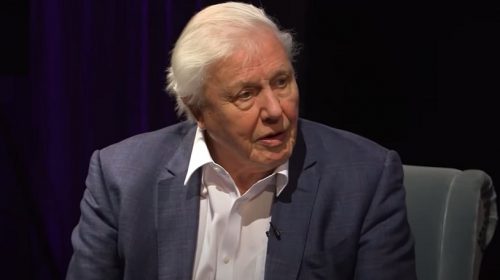 David Attenborough Hologram - David Attenborough Interview YouTube