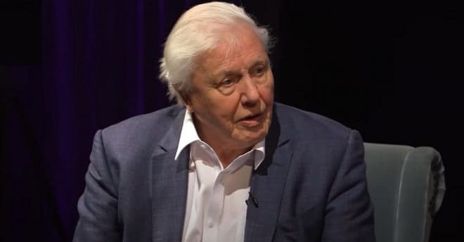 David Attenborough Hologram - David Attenborough Interview YouTube