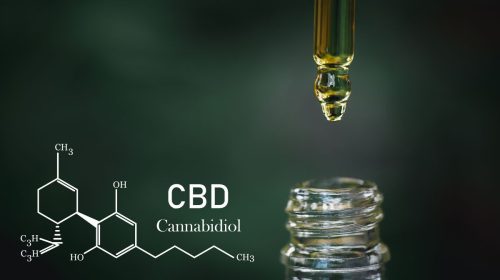 QR Codes - CBD