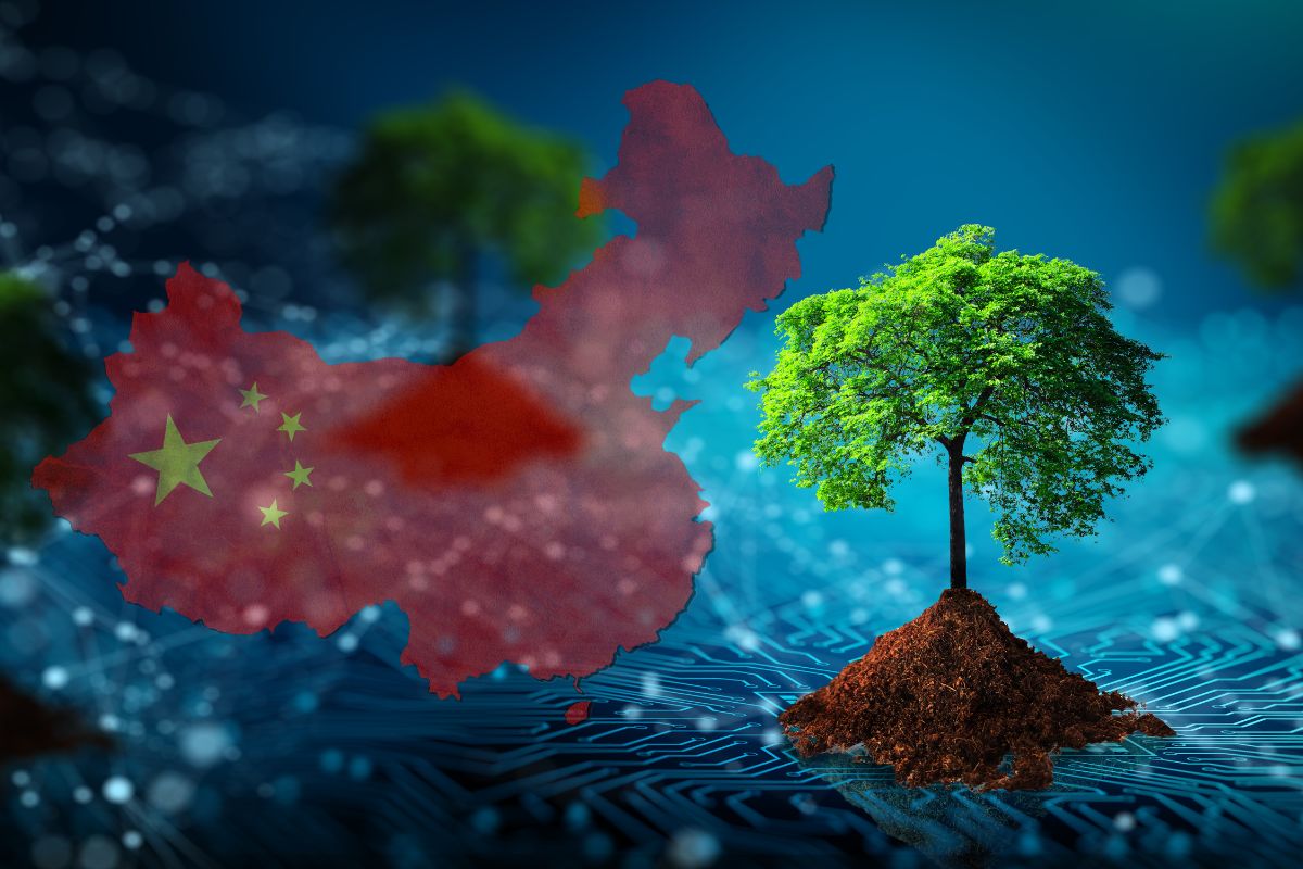 Green computing - Digital technology - green tree - China land flag