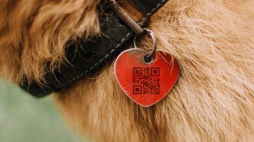 QR code - Pet Tag