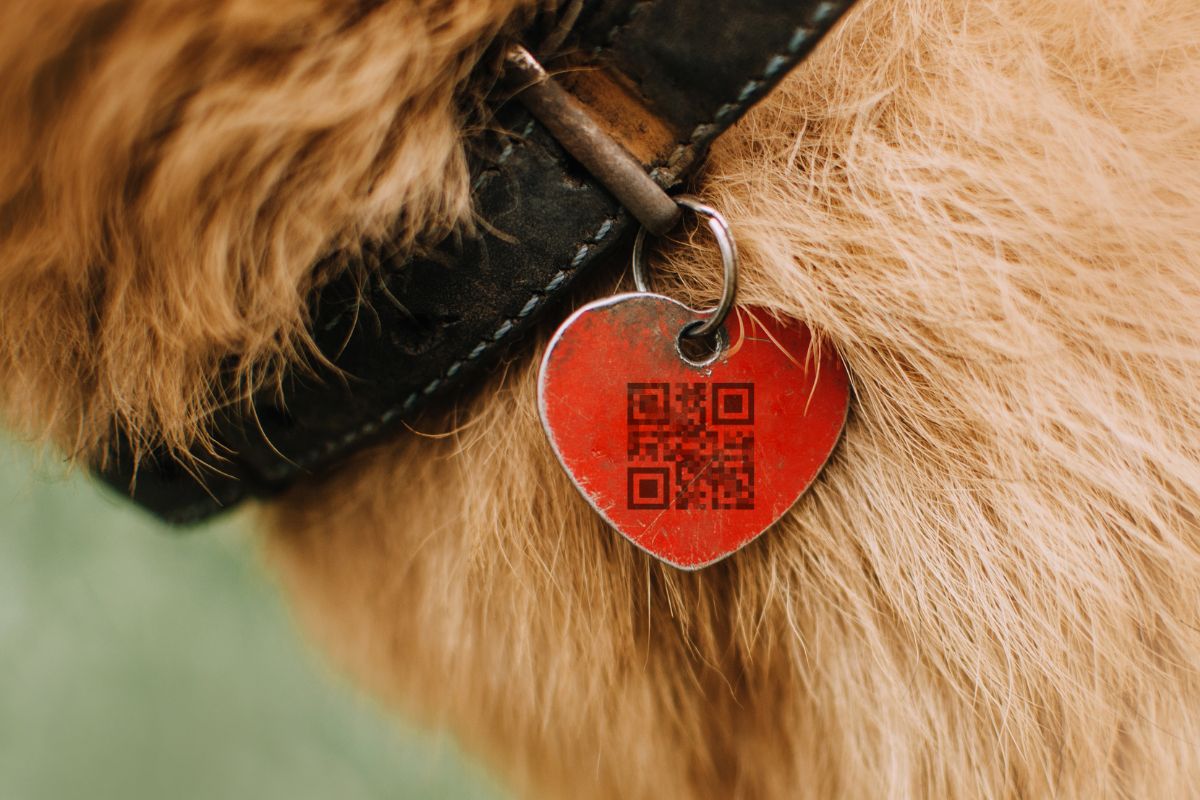 QR code - Pet Tag