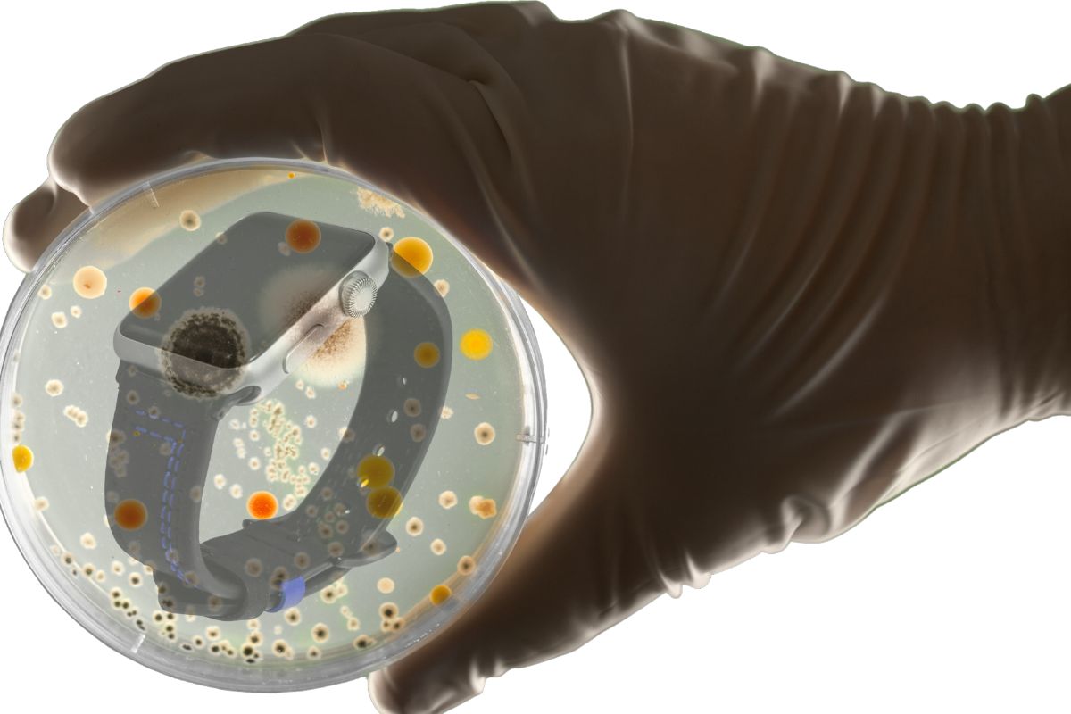 Wearable devices - Bacteria, smartphone