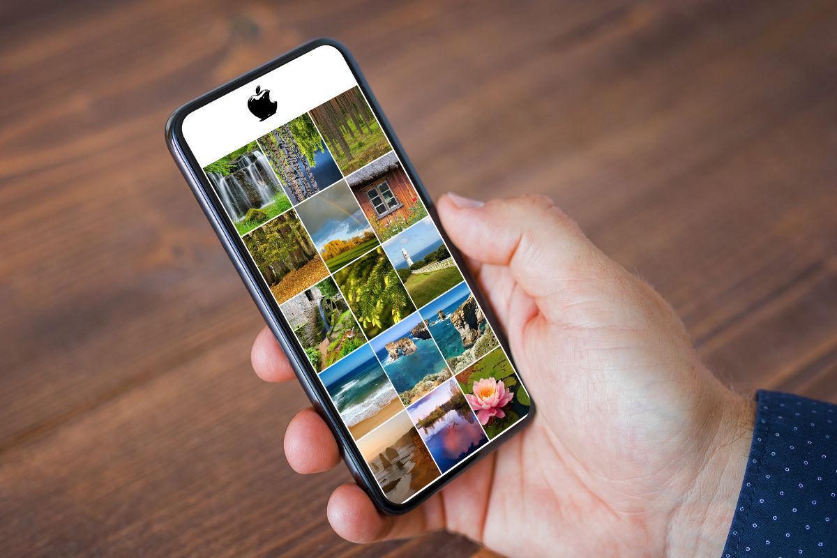 Photos App - Apple - Gallery