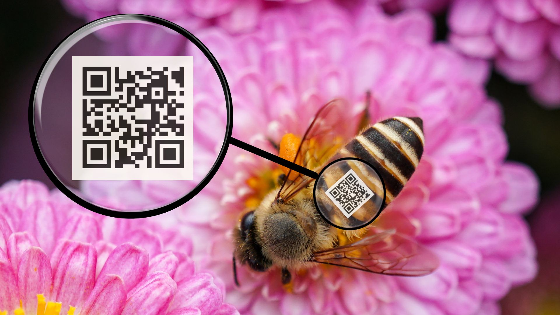 QR Code Backpacks